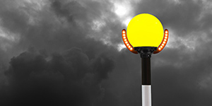 New ‘Bee Seen’ pedestrian crossing range